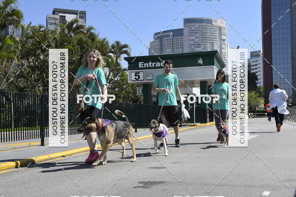 Buy your photos of the event2� Pet Run Shopping Eldorado  on Fotop