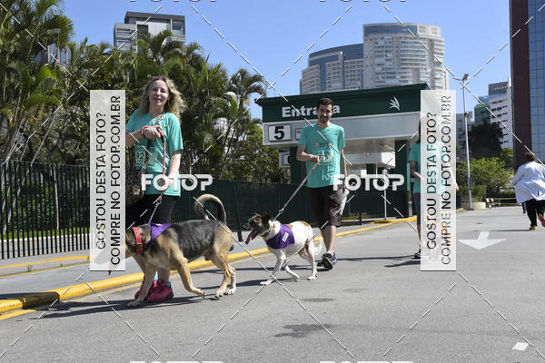 Buy your photos of the event2� Pet Run Shopping Eldorado  on Fotop