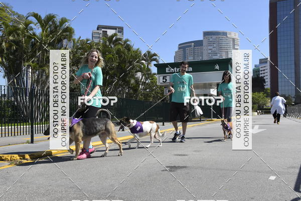Buy your photos of the event2� Pet Run Shopping Eldorado  on Fotop