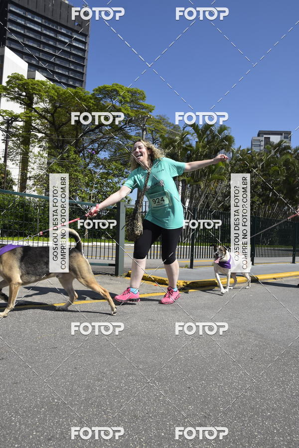 Buy your photos of the event2� Pet Run Shopping Eldorado  on Fotop