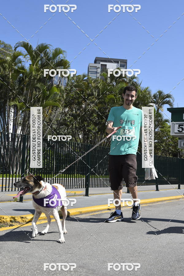 Buy your photos of the event2� Pet Run Shopping Eldorado  on Fotop