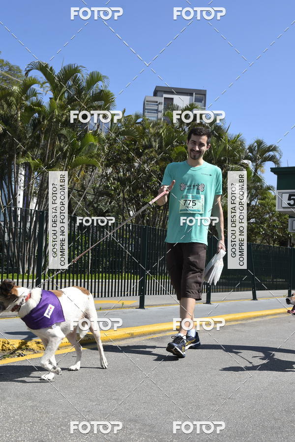 Buy your photos of the event2� Pet Run Shopping Eldorado  on Fotop