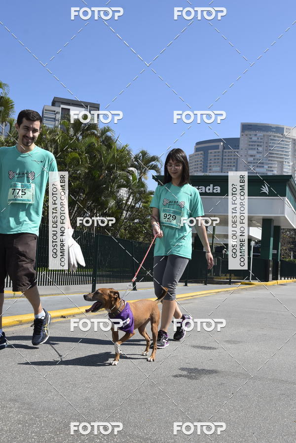 Buy your photos of the event2� Pet Run Shopping Eldorado  on Fotop