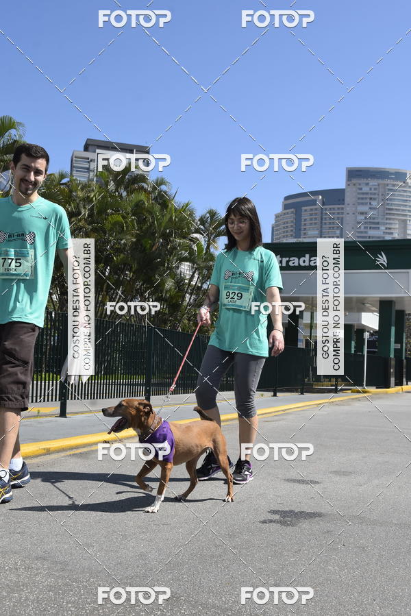 Buy your photos of the event2� Pet Run Shopping Eldorado  on Fotop