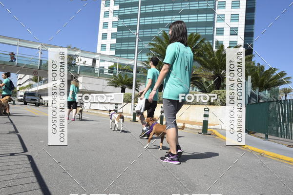 Buy your photos of the event2� Pet Run Shopping Eldorado  on Fotop