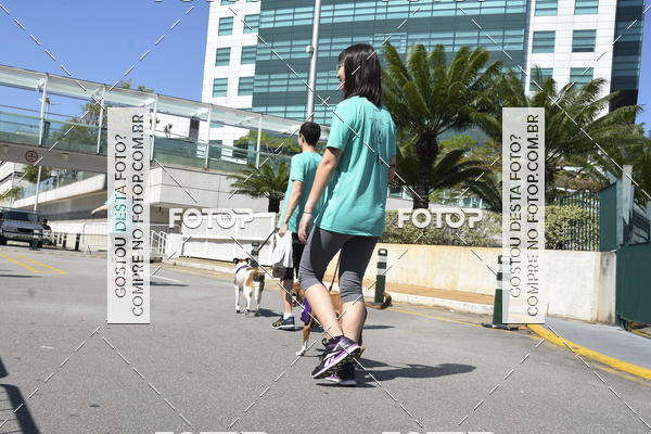 Buy your photos of the event2� Pet Run Shopping Eldorado  on Fotop