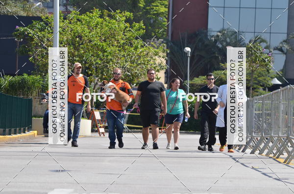 Buy your photos of the event2� Pet Run Shopping Eldorado  on Fotop