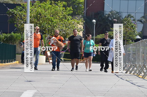 Buy your photos of the event2� Pet Run Shopping Eldorado  on Fotop