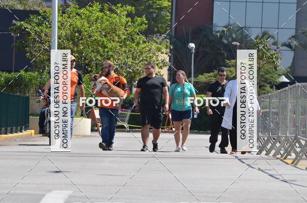 Buy your photos of the event2� Pet Run Shopping Eldorado  on Fotop