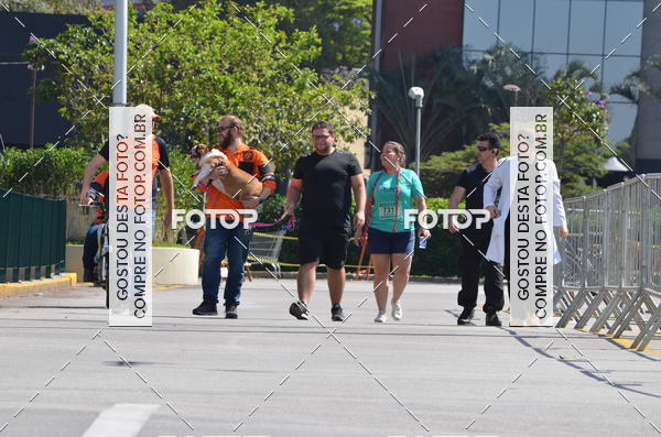 Buy your photos of the event2� Pet Run Shopping Eldorado  on Fotop