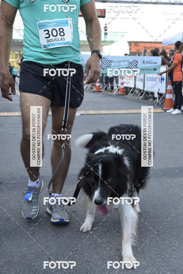 Compre suas fotos do evento2 Pet Run Shopping Eldorado  no Fotop