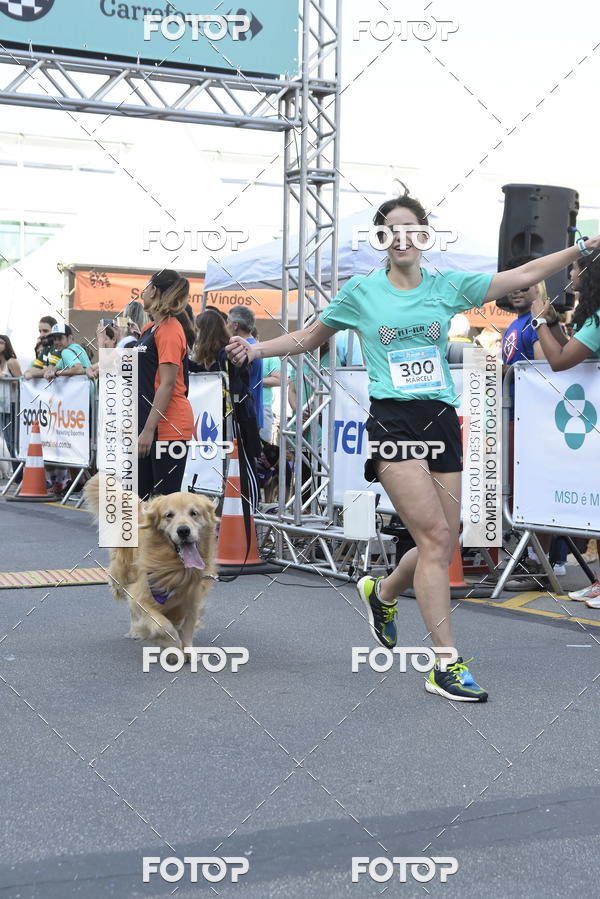Buy your photos of the event2 Pet Run Shopping Eldorado  on Fotop