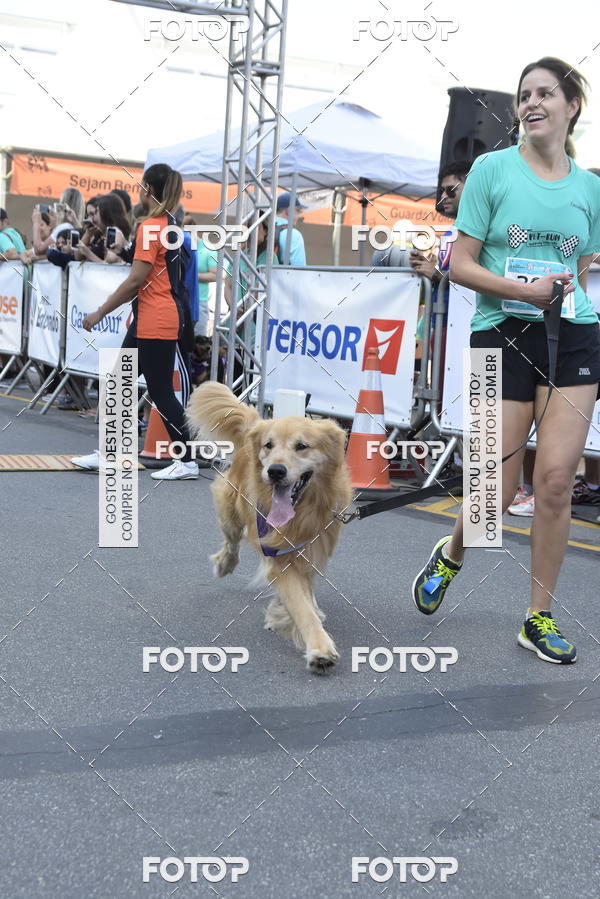 Buy your photos of the event2 Pet Run Shopping Eldorado  on Fotop