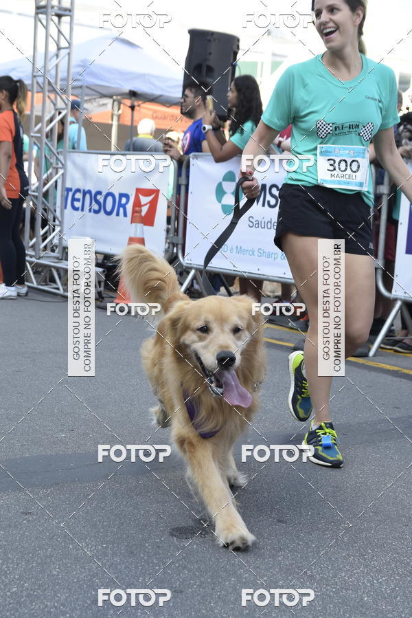 Buy your photos of the event2 Pet Run Shopping Eldorado  on Fotop