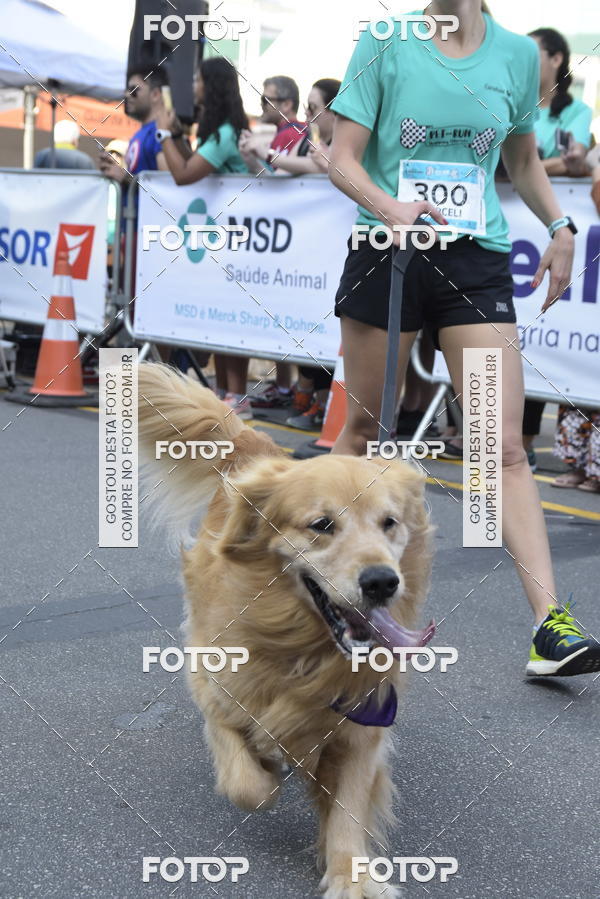 Buy your photos of the event2 Pet Run Shopping Eldorado  on Fotop