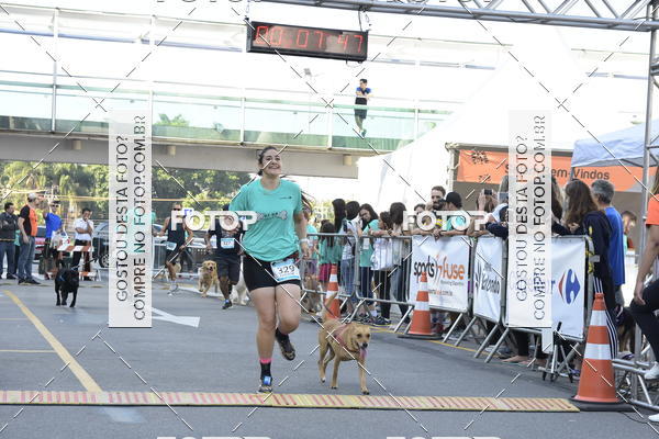 Buy your photos of the event2 Pet Run Shopping Eldorado  on Fotop