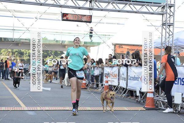 Buy your photos of the event2 Pet Run Shopping Eldorado  on Fotop