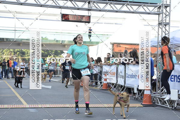 Buy your photos of the event2 Pet Run Shopping Eldorado  on Fotop