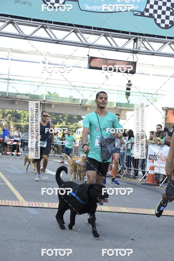 Buy your photos of the event2 Pet Run Shopping Eldorado  on Fotop