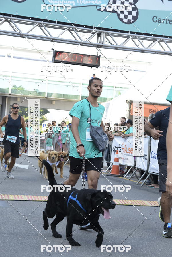 Buy your photos of the event2 Pet Run Shopping Eldorado  on Fotop