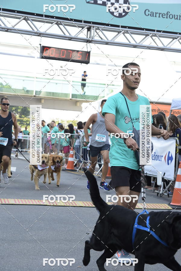 Buy your photos of the event2 Pet Run Shopping Eldorado  on Fotop