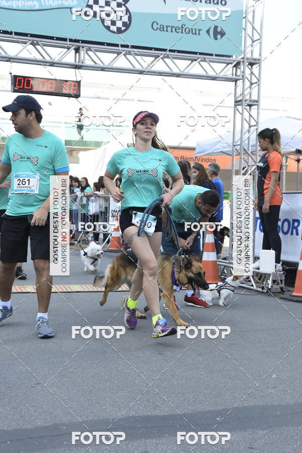 Buy your photos of the event2 Pet Run Shopping Eldorado  on Fotop