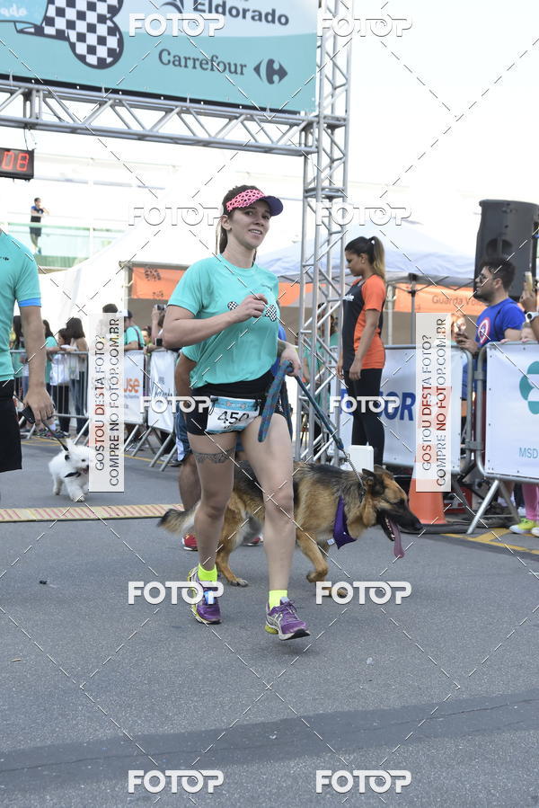 Buy your photos of the event2 Pet Run Shopping Eldorado  on Fotop