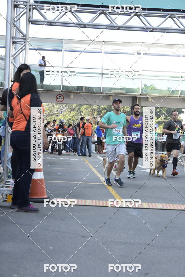 Buy your photos of the event2 Pet Run Shopping Eldorado  on Fotop