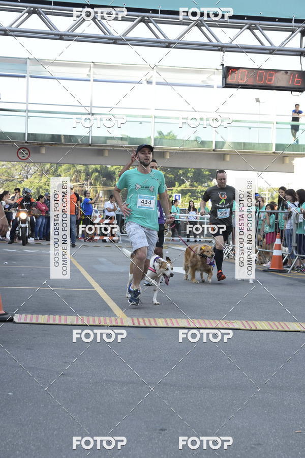 Buy your photos of the event2 Pet Run Shopping Eldorado  on Fotop