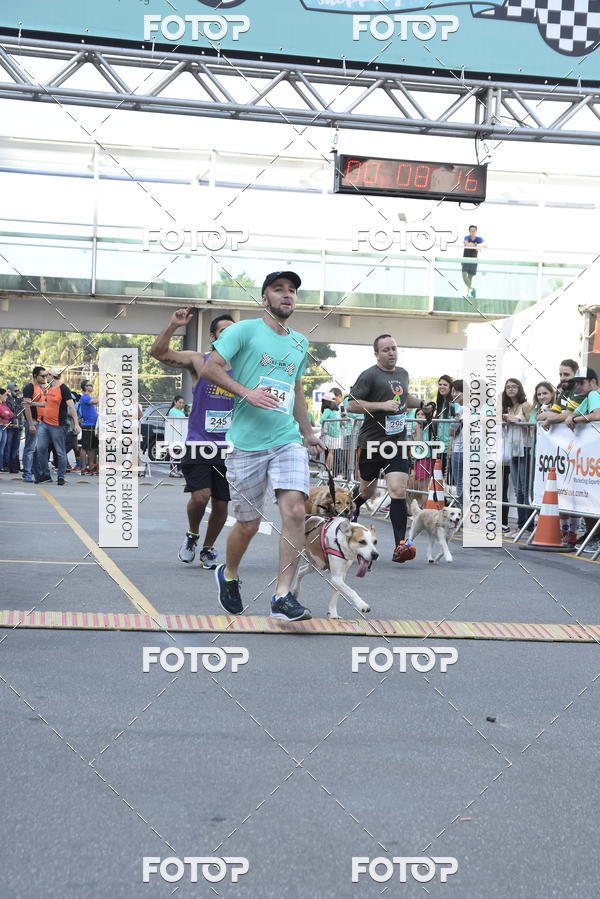 Buy your photos of the event2 Pet Run Shopping Eldorado  on Fotop