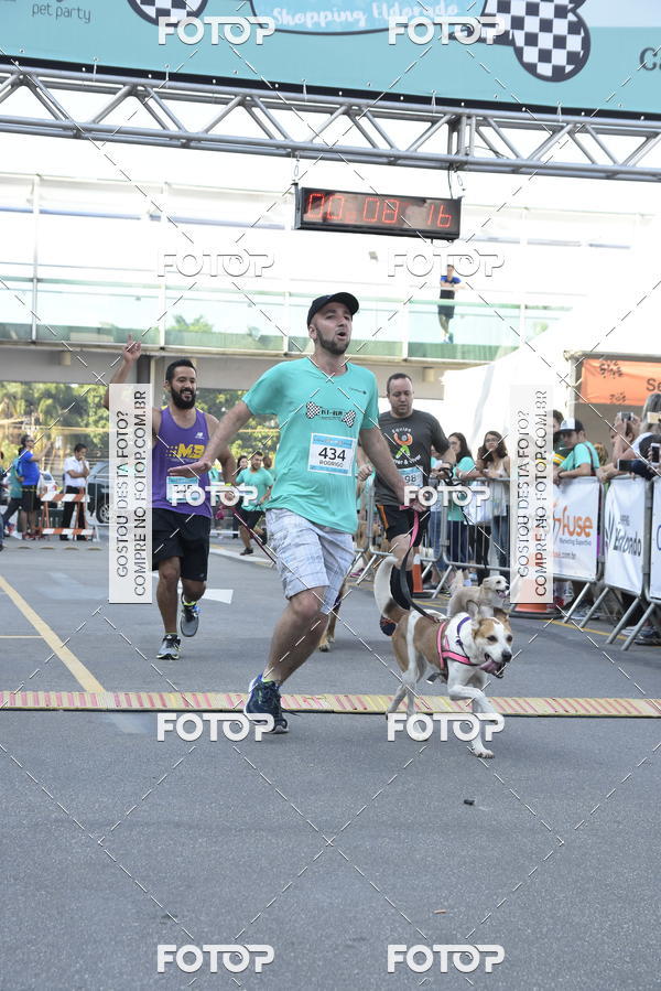 Buy your photos of the event2 Pet Run Shopping Eldorado  on Fotop
