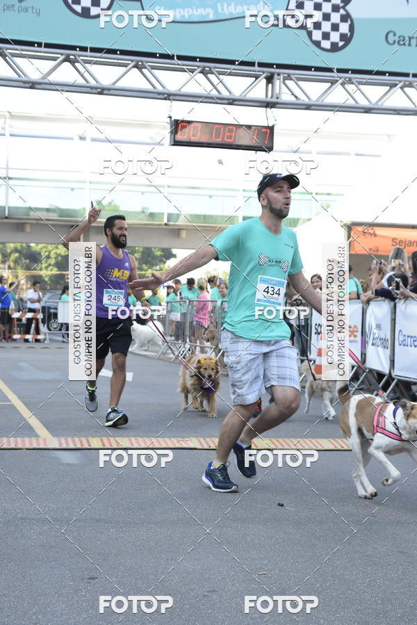 Buy your photos of the event2 Pet Run Shopping Eldorado  on Fotop