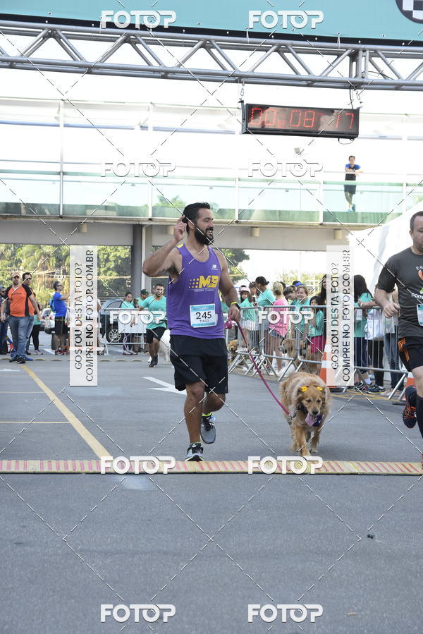 Buy your photos of the event2 Pet Run Shopping Eldorado  on Fotop