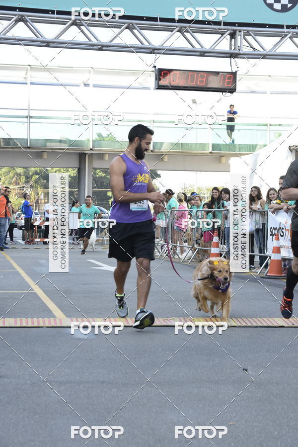 Buy your photos of the event2 Pet Run Shopping Eldorado  on Fotop