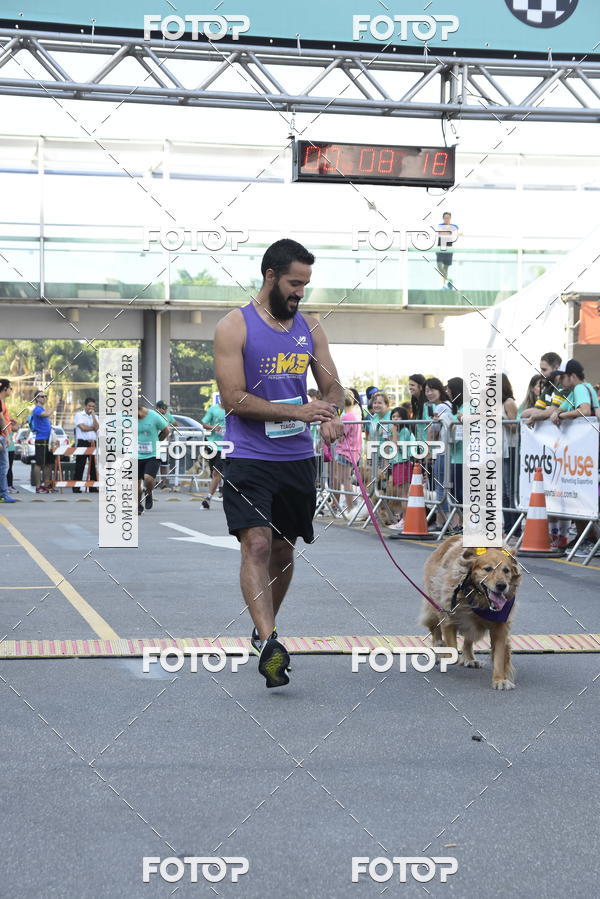 Buy your photos of the event2 Pet Run Shopping Eldorado  on Fotop