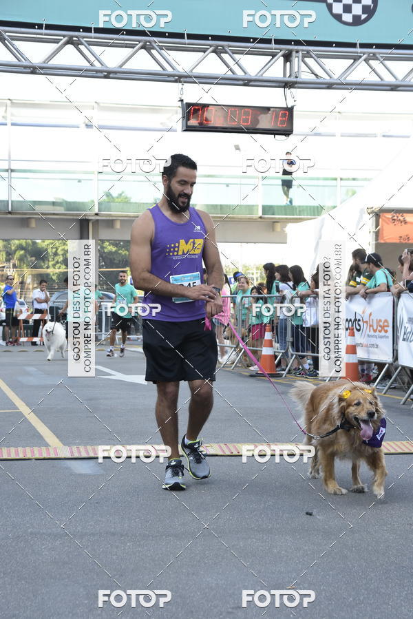 Buy your photos of the event2 Pet Run Shopping Eldorado  on Fotop