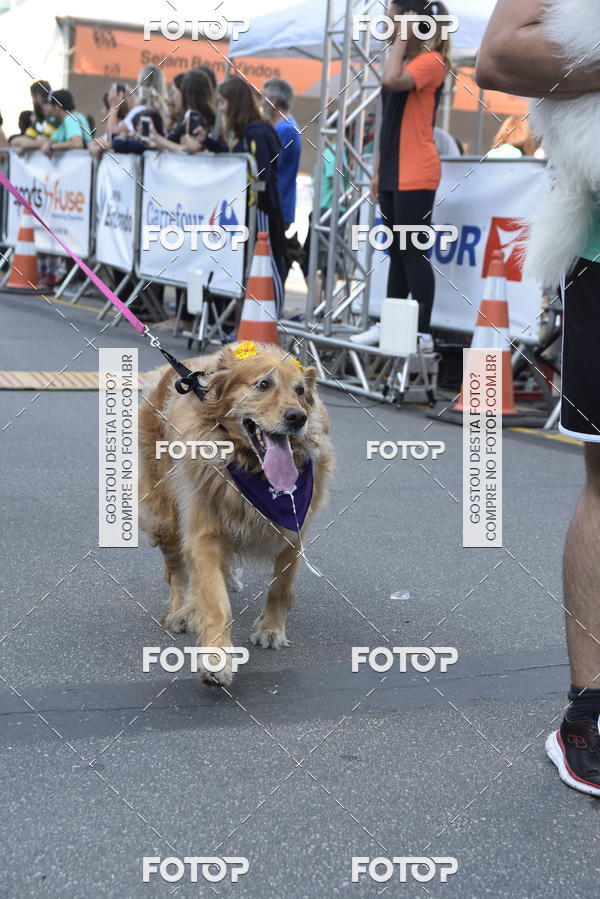 Buy your photos of the event2 Pet Run Shopping Eldorado  on Fotop