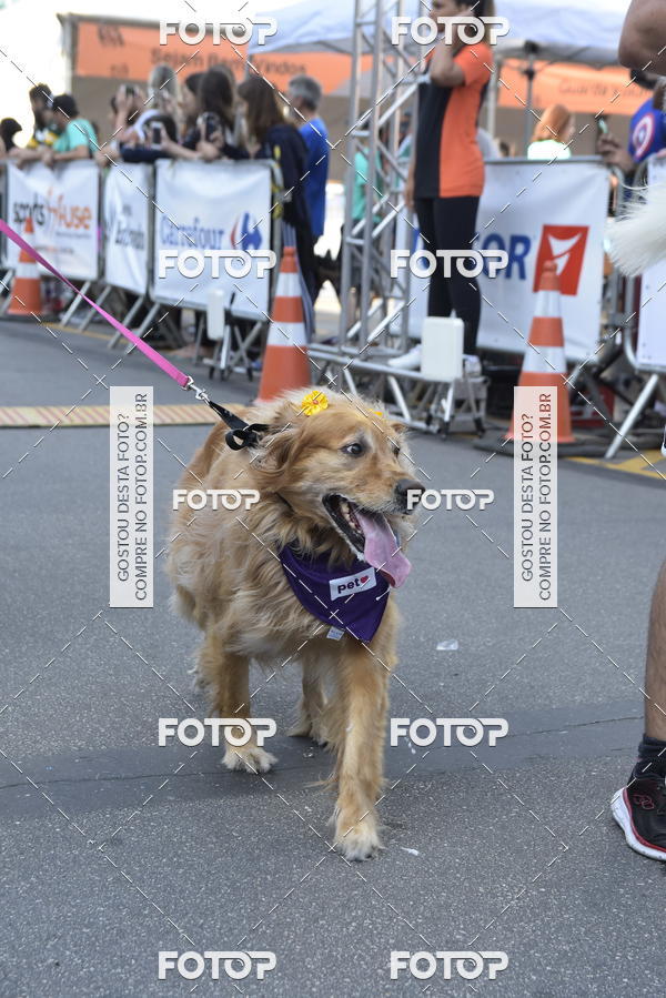 Buy your photos of the event2 Pet Run Shopping Eldorado  on Fotop