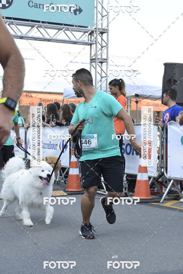 Buy your photos of the event2 Pet Run Shopping Eldorado  on Fotop