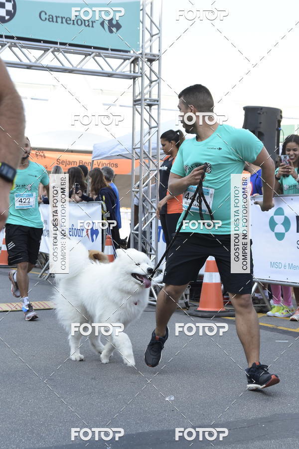 Buy your photos of the event2 Pet Run Shopping Eldorado  on Fotop