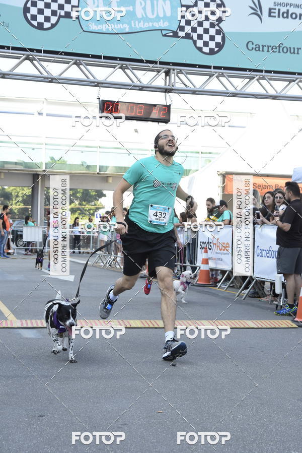 Buy your photos of the event2 Pet Run Shopping Eldorado  on Fotop