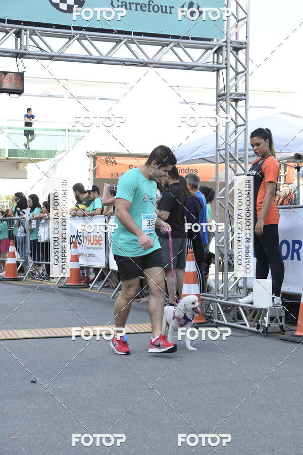 Buy your photos of the event2 Pet Run Shopping Eldorado  on Fotop
