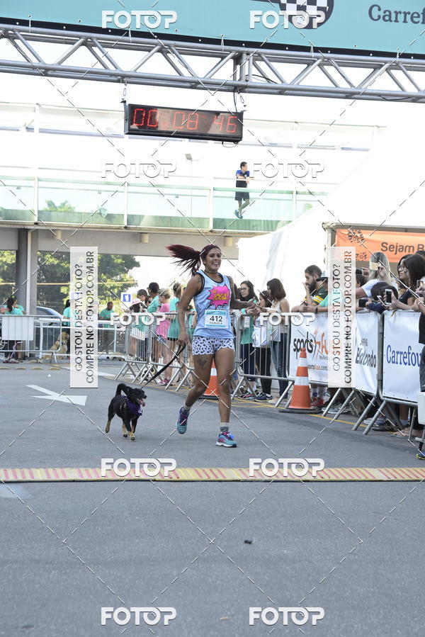 Buy your photos of the event2 Pet Run Shopping Eldorado  on Fotop