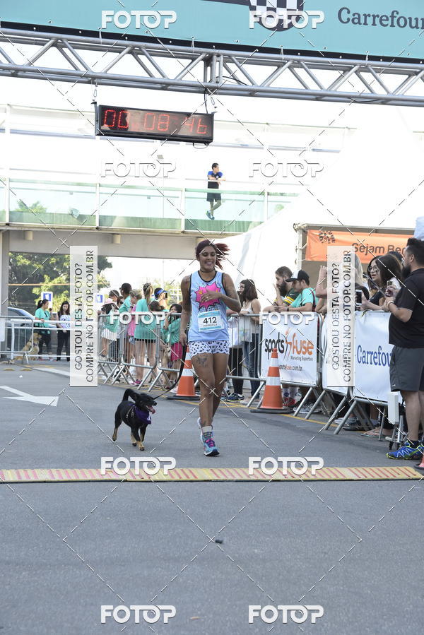 Buy your photos of the event2 Pet Run Shopping Eldorado  on Fotop