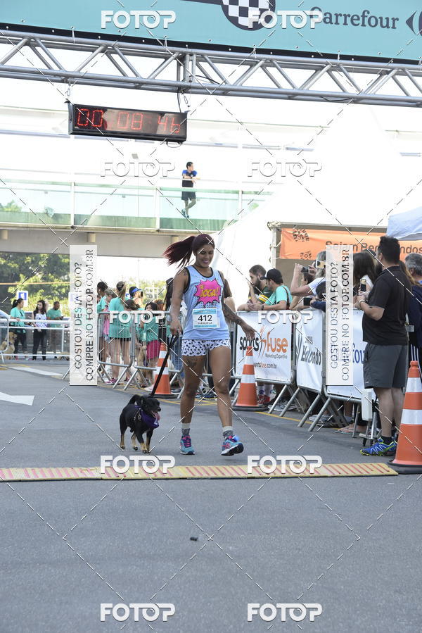 Buy your photos of the event2 Pet Run Shopping Eldorado  on Fotop