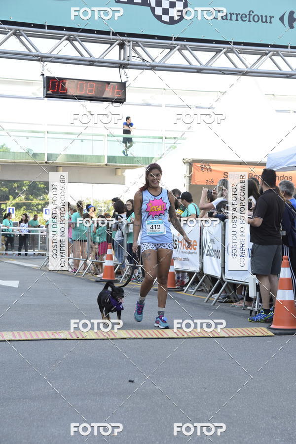 Buy your photos of the event2 Pet Run Shopping Eldorado  on Fotop