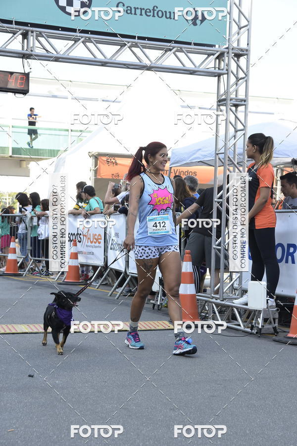 Buy your photos of the event2 Pet Run Shopping Eldorado  on Fotop