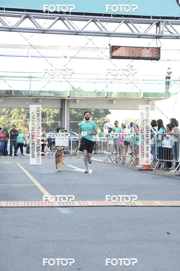 Buy your photos of the event2 Pet Run Shopping Eldorado  on Fotop