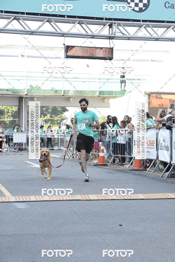 Buy your photos of the event2 Pet Run Shopping Eldorado  on Fotop