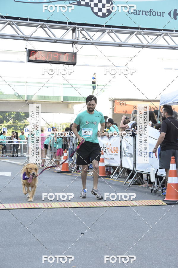 Buy your photos of the event2 Pet Run Shopping Eldorado  on Fotop
